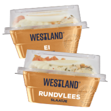 Westland slaatje